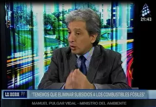 COP21: "Nuestra contribución ha sido ampliamente participativa", afirmó Pulgar Vidal