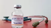 Médicos veterinarios peruanos aseguran estar cerca de la vacuna contra el coronavirus - Noticias de veterinaria