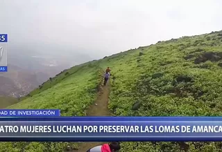 Cuatro mujeres luchan por preservar las Lomas de Amancaes