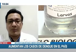 Dengue: Condiciones climáticas están propiciando incremento de casos, según médico infectólogo