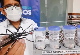 Dengue: Minsa declaró en emergencia 20 regiones por 120 días ante aumento de casos 