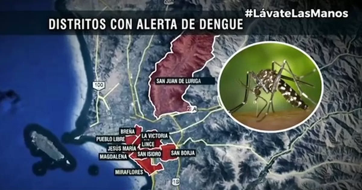 Dengue Estos 14 distritos de Lima están bajo alerta epidemiológica Canal N