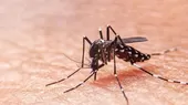 Dengue en el Perú: Minsa emitió alerta epidemiológica ante incremento de casos - Noticias de dengue