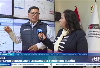 Dengue en Perú: Registran 75 muertes y más de 71 mil contagios