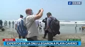 Playa Cavero: Expertos de la ONU evalúan daños ocasionados por el derrame de petróleo - Noticias de ministerio-de-cultura