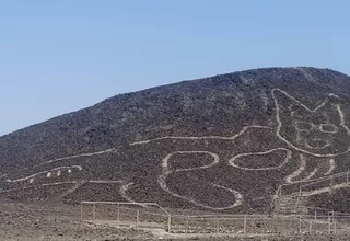 Descubren geoglifo de un felino en la Pampa de Nasca