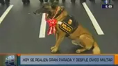 Parada Militar: conoce a Jachis, el can de la Policía que sabe leer - Noticias de dia-policia