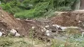 Destruyen puente ilegales en frontera entre Perú y Ecuador - Noticias de destruyen