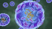 Detectaron poliovirus en aguas de Nueva York - Noticias de 
