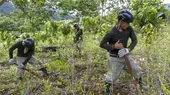 Devida busca reducir mil hectáreas de coca, afirma Ricardo Soberón - Noticias de coca