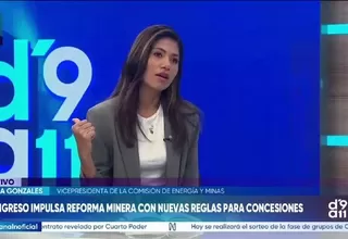 Diana Gonzales advierte impacto en inversión por reforma minera aprobada en comisión