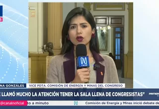 Diana Gonzales: Ley MAPE es un texto nocivo para el país