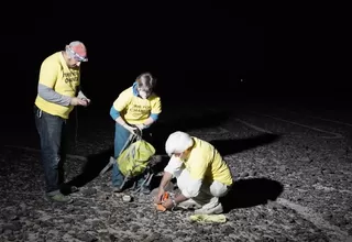 Greenpeace dio nombres de algunos responsables de daños a las Líneas de Nasca