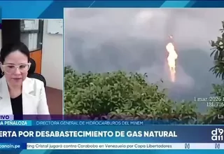 Directora de Hidrocarburos: Se investigan causas del incidente en gas natural