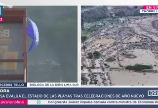 DIRIS: Solo 30% de playas de Lima Sur son saludables