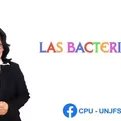 Dos minutos para aprender: Las bacterias