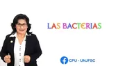Dos minutos para aprender: Las bacterias - Noticias de dos-minutos-aprender