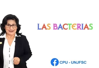 Dos minutos para aprender: Las bacterias