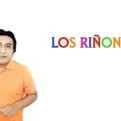 Dos minutos para aprender: Los riñones
