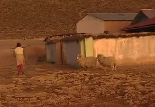 El drama de las familias afectadas por las heladas