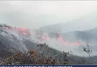 Ejecutivo anuncia ley de prevención de incendios