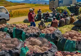 Enfoques Cruxados | Crisis del agro: medidas políticas y productivas