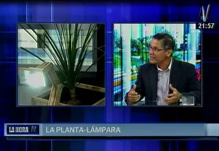 Estudiantes logran generar energía eléctrica de las plantas 
