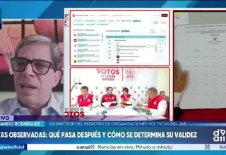 Exdirector del Registro de Organizaciones Políticas del JNE: Plazo para resultados es desproporcionado