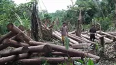 Exhortan al Gobierno Regional de Ucayali a proteger el territorio asháninka  - Noticias de ashaninkas