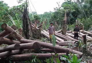 Exhortan al Gobierno Regional de Ucayali a proteger el territorio asháninka 