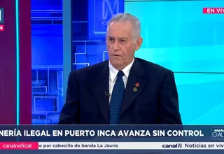 Exministro: El Estado no enfrenta a las mafias de minería ilegal
