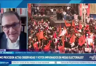Experto electoral: Resultado podría demorar hasta dos semanas por revisión de actas observadas