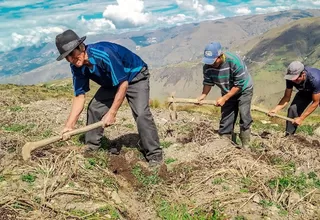 FAE Agro: Aprueban otorgamiento de garantía para el financiamiento del programa 