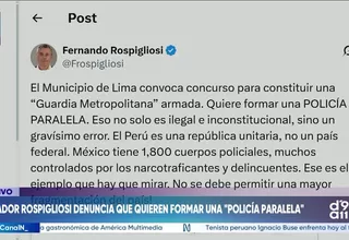 Fernando Rospigliosi pide revisar propuesta de Guardia Metropolitana armada en Lima