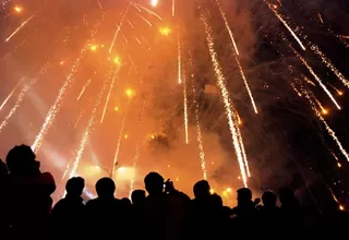 Fuegos artificiales sin sonido: alternativa para proteger a las mascotas