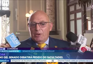 Giampietri prevé una votación ajustada sobre las facultades solicitadas por el Gobierno