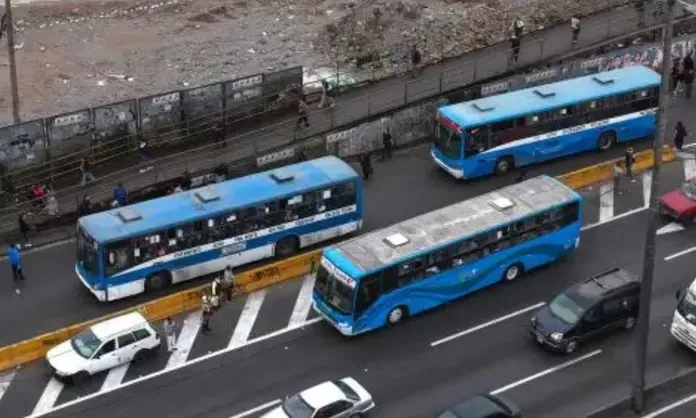 Gobierno oficializa subsidio para el transporte público | Canal N