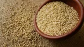 Gobierno propone la quinua como cultivo alternativo al arroz en la costa - Noticias de arroz