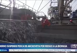 Gobierno suspende pesca de anchoveta por riesgo a la biomasa