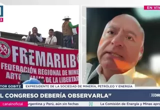 Gobitz: Congreso favorece actividad ilegal con ley del REINFO