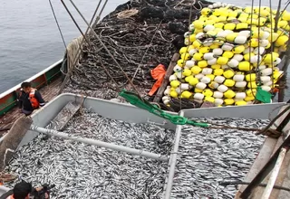 Gremios rechazan tratado BBNJ por afectar soberanía 