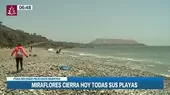 Gripe aviar: Miraflores cierra hoy todas sus playas para recoger pelícanos muertos - Noticias de Jes��s Mar��a