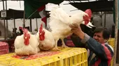 Gripe aviar: Prohíben ferias avícolas y peleas de gallos tras emergencia sanitaria - Noticias de salud-mental