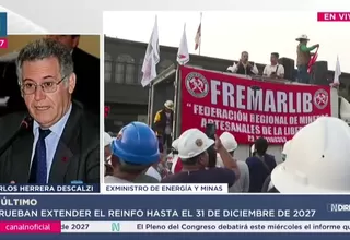 Herrera Descalzi critica ampliación del Reinfo hasta 2027