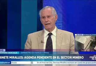 Herrera Descalzi: Minem está para obedecer otros propósitos