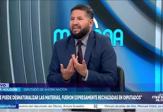 Holguín: “El espíritu general de Ahora Nación es que se respete lo que ha remitido la Cámara de Diputados”