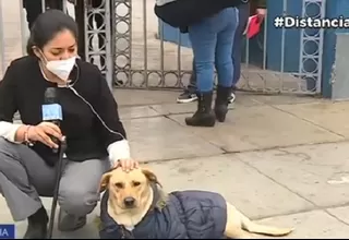 Perro lleva 3 días esperando a su dueño internado por COVID-19 en la puerta del Hospital Almenara