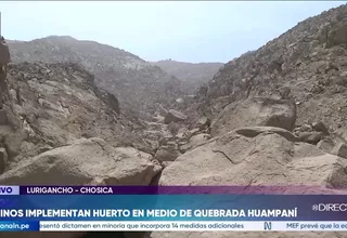 Huampaní: Vecinos implementan huerto en quebrada y alertan por diques colmatados ante riesgo de huaicos