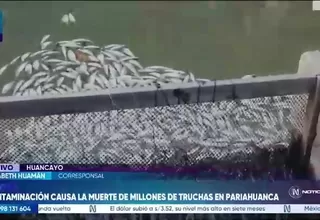 Más de 2.5 millones de peces murieron en río Yuracyacu y afectan a piscicultores