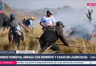 Huánuco: Incendio forestal arrasa con sembríos y casas